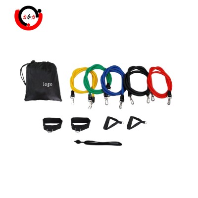 Resistance Band Set 12 Pieces with Exercise Tube Bands, Door Anchor, Ankle Straps, Carry Bag and Instruction Booklet